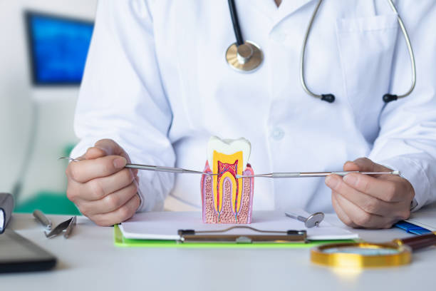 Best Emergency Root Canal Therapy in Harrison, TN